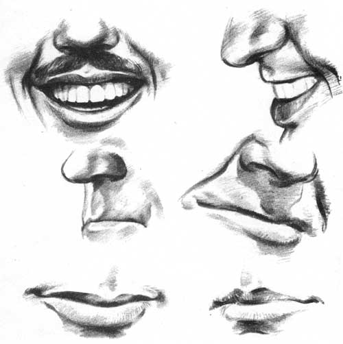500x502 Profile Mouth Male Drawing - Female Mouth Drawing