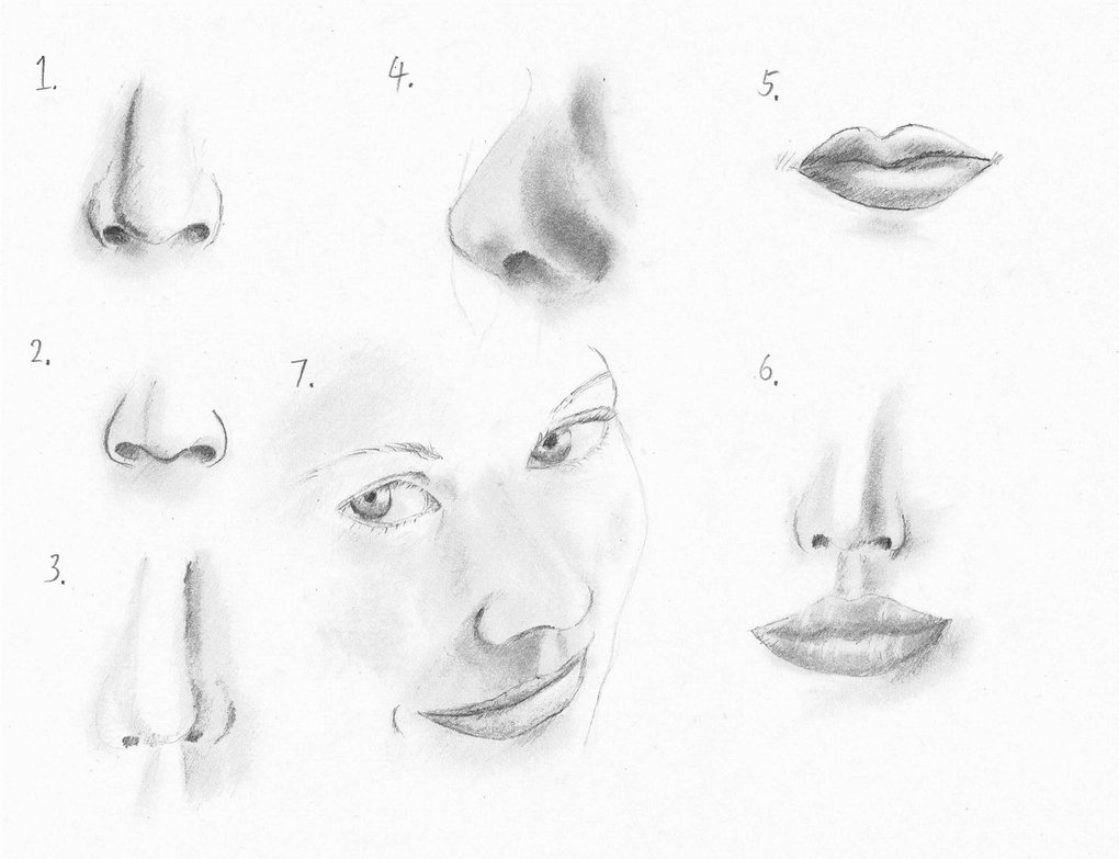 1020x783 How To Draw A Female Nose Online Drawing Lessons - Female Mouth Drawing