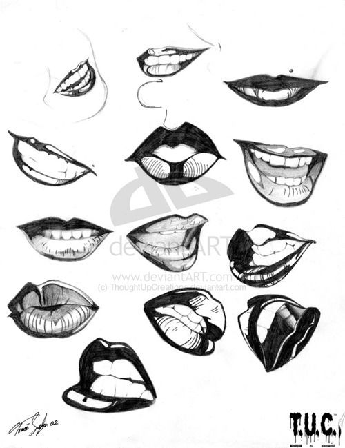 500x649 Huge Collection Of 'female Lips Drawing' Download More Than - Female Mouth Drawing