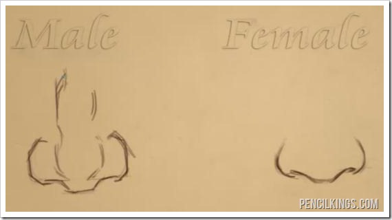 570x320 Get Ahead With This Nose Drawing Tutorial - Female Nose Drawing