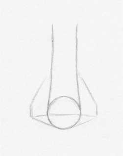 251x318 How To Draw A Nose From The Front Easy Steps Rapidfireart - Female Nose Drawing