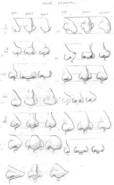 236x381 Drawing Reference In Drawings, Art - Female Nose Drawing