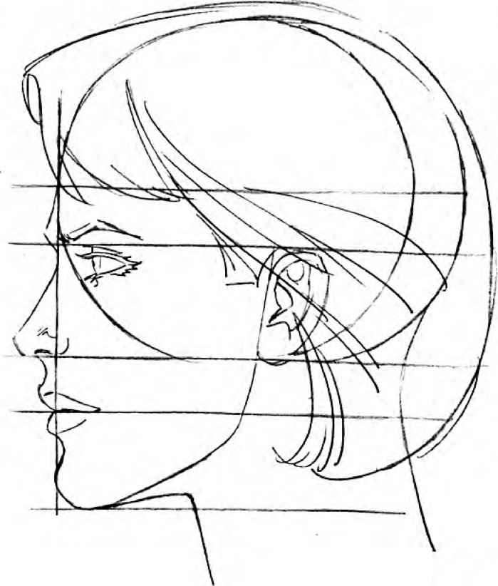 699x822 The Modern Female Head - Female Nose Drawing