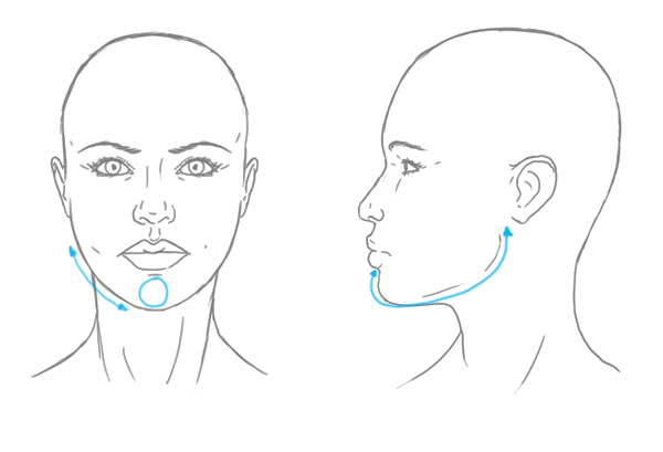 600x409 the differences between male and female portraits - Female Profile Drawing