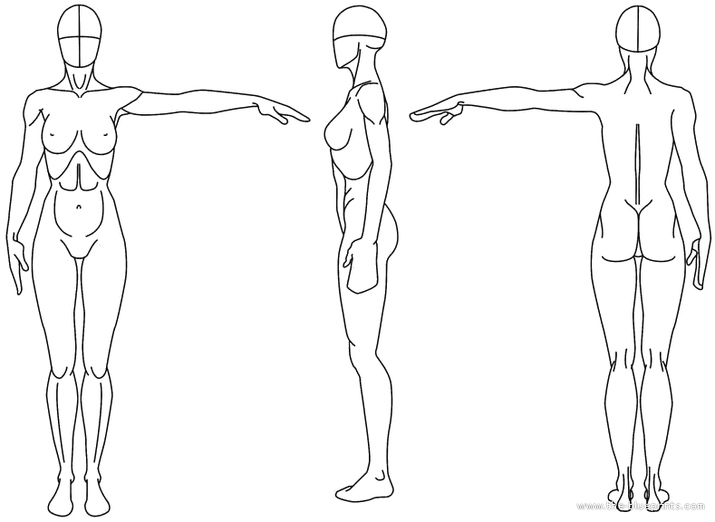 789x576 Blueprints Gt Humans Gt Humans Gt Female Reference Drawing - Female Reference Drawing
