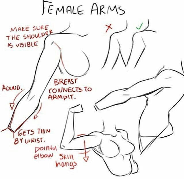 640x622 Drawing Tips - Female Reference Drawing