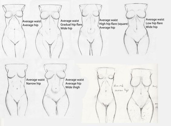 564x415 References They Do A Body Good Female Part - Female Reference Drawing