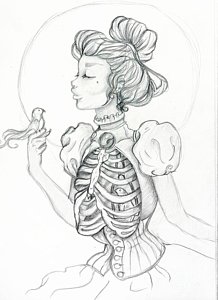 218x300 Victorian Cage Drawing - Female Skeleton Drawing