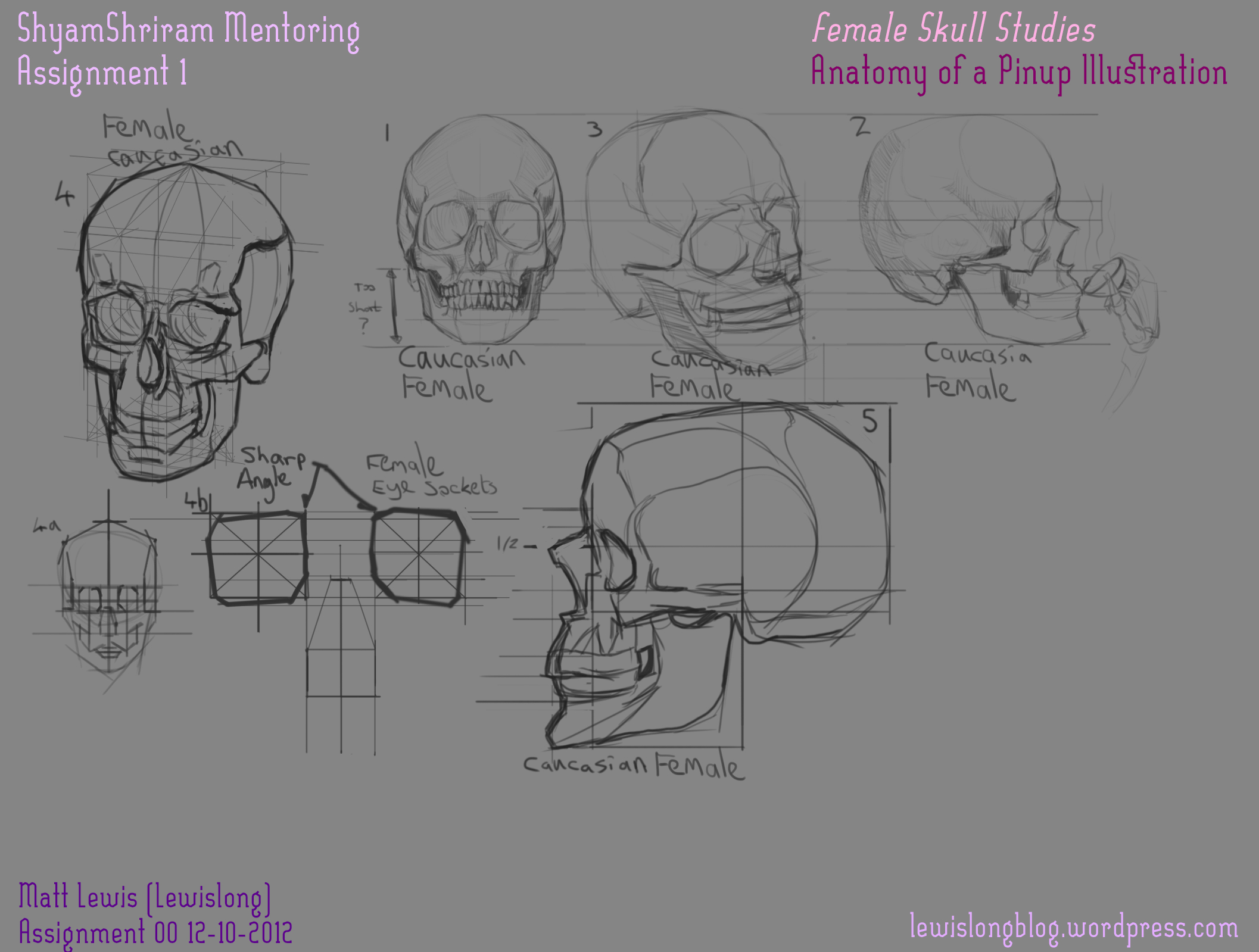 2114x1599 Female Skull Studies For Crimson Daggers Mentoring With Shyam - Female Skull Drawing