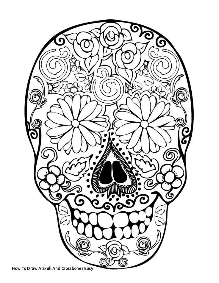 736x951 How To Draw A Skull And Crossbones Easy - Female Skull Drawing