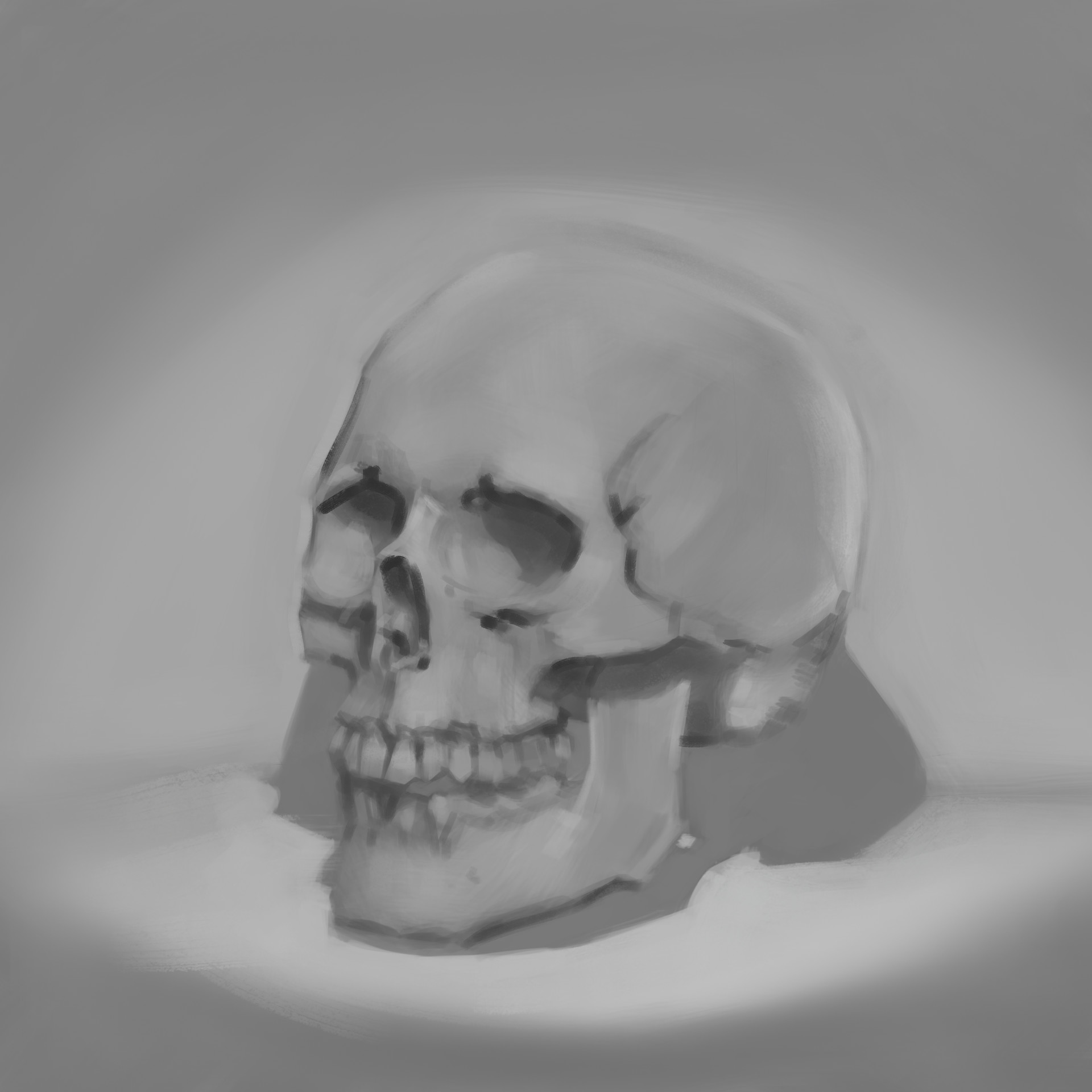 1920x1920 Mar Mat - Female Skull Drawing
