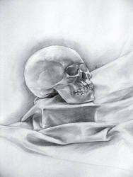 188x250 Cast Drawing Female Skull - Female Skull Drawing