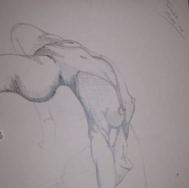 375x374 female torso drawing - Female Torso Drawing