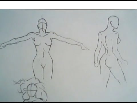 480x360 How To Draw Female Torsos - Female Torso Drawing