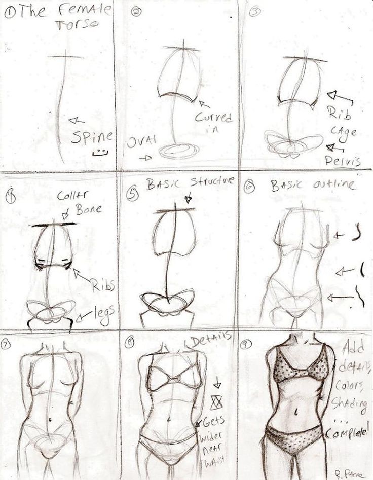 736x947 comic art reference female torso in steps - Female Torso Drawing