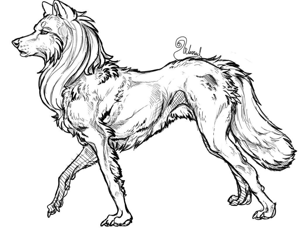 Female Wolf Drawing at Explore collection of