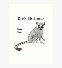 210x230 Femur Drawing Art Prints Redbubble - Femur Drawing