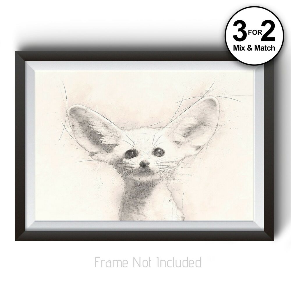 1000x1000 Fennec Fox Wall Art Print On Cotton - Fennec Drawing
