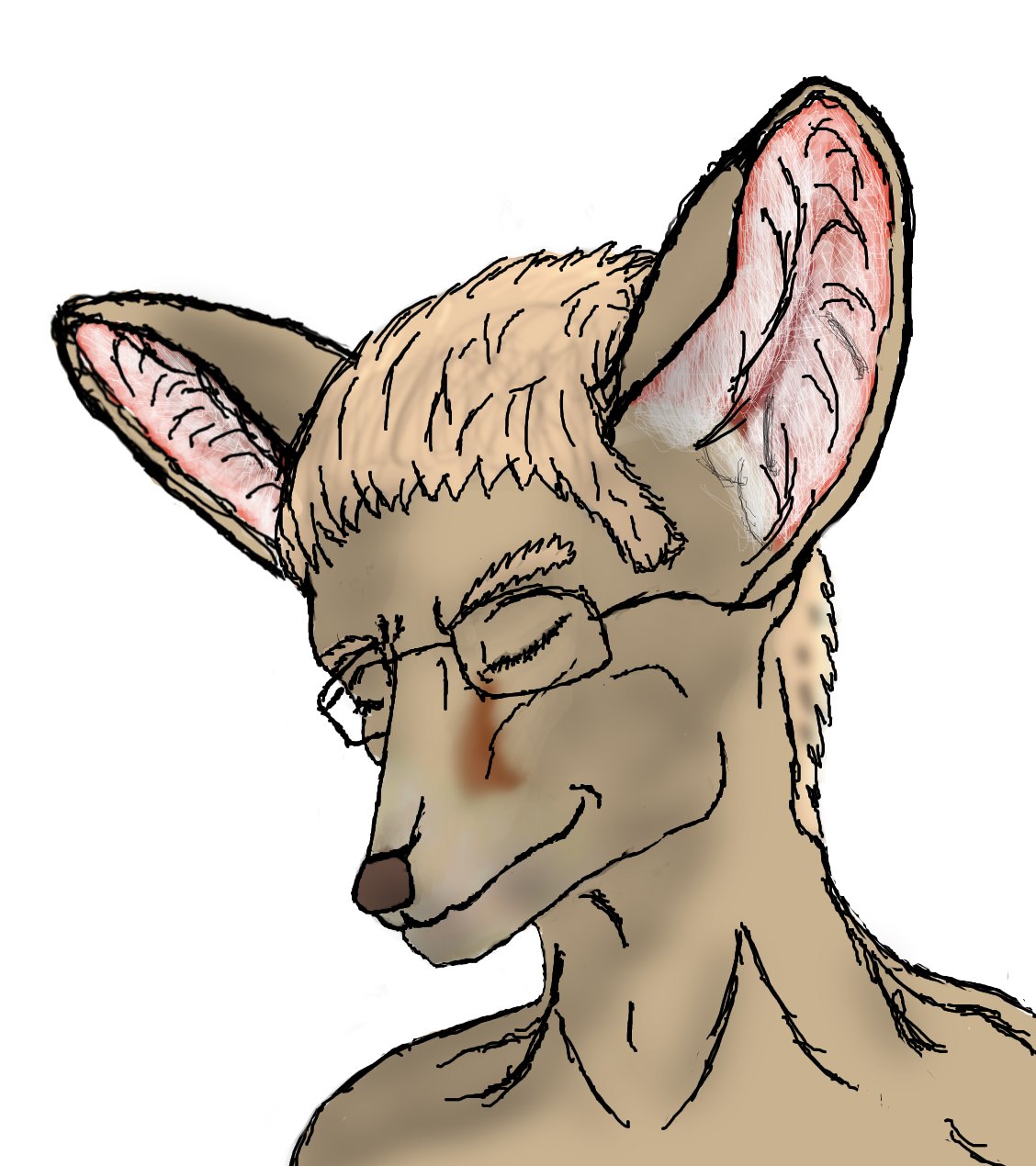 1128x1270 Filefennec Fursona - Fennec Drawing