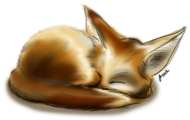 666x419 How To Draw A Fennec Fox Cartoon - Fennec Drawing