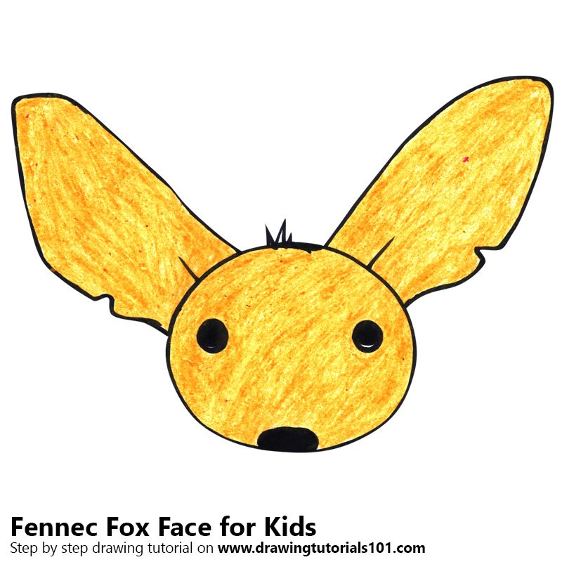 800x800 Learn How To Draw A Fennec Fox Face For Kids - Fennec Drawing