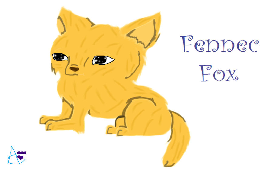 900x562 fennec fox drawing - Fennec Fox Drawing