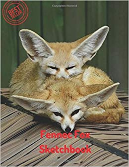 260x335 fennec fox sketchbook blank paper for drawing, doodling - Fennec Fox Drawing