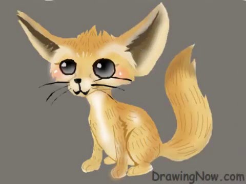 480x360 how to draw a fennec fox - Fennec Fox Drawing