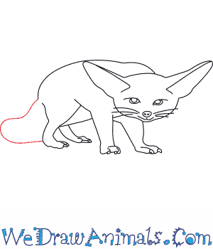 300x350 how to draw a fennec fox - Fennec Fox Drawing