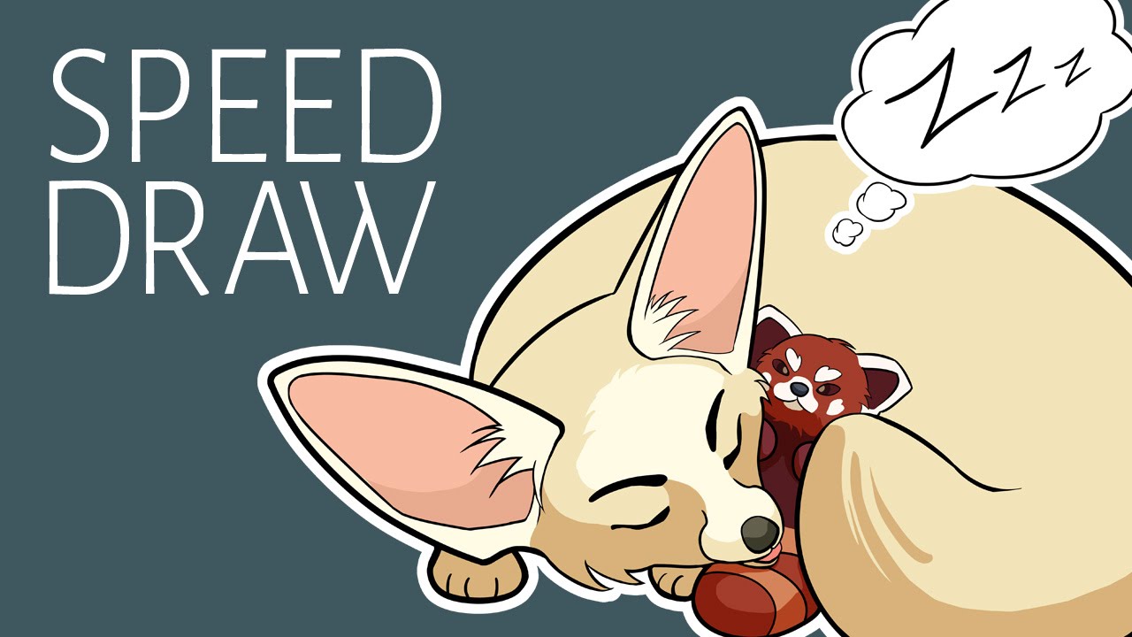 1280x720 sleeping fennec fox with red panda plush illustration animal - Fennec Fox Drawing