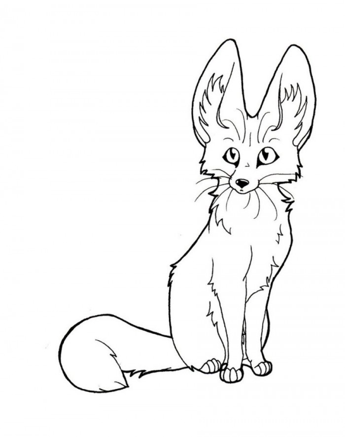 700x885 cute baby fox drawing at getdrawings com free for personal use - Fennec Fox Drawing