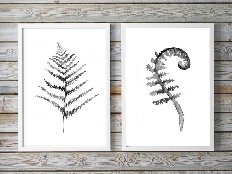 794x596 fern art fern leaf set of black white nature print etsy - Fern Botanical Drawing