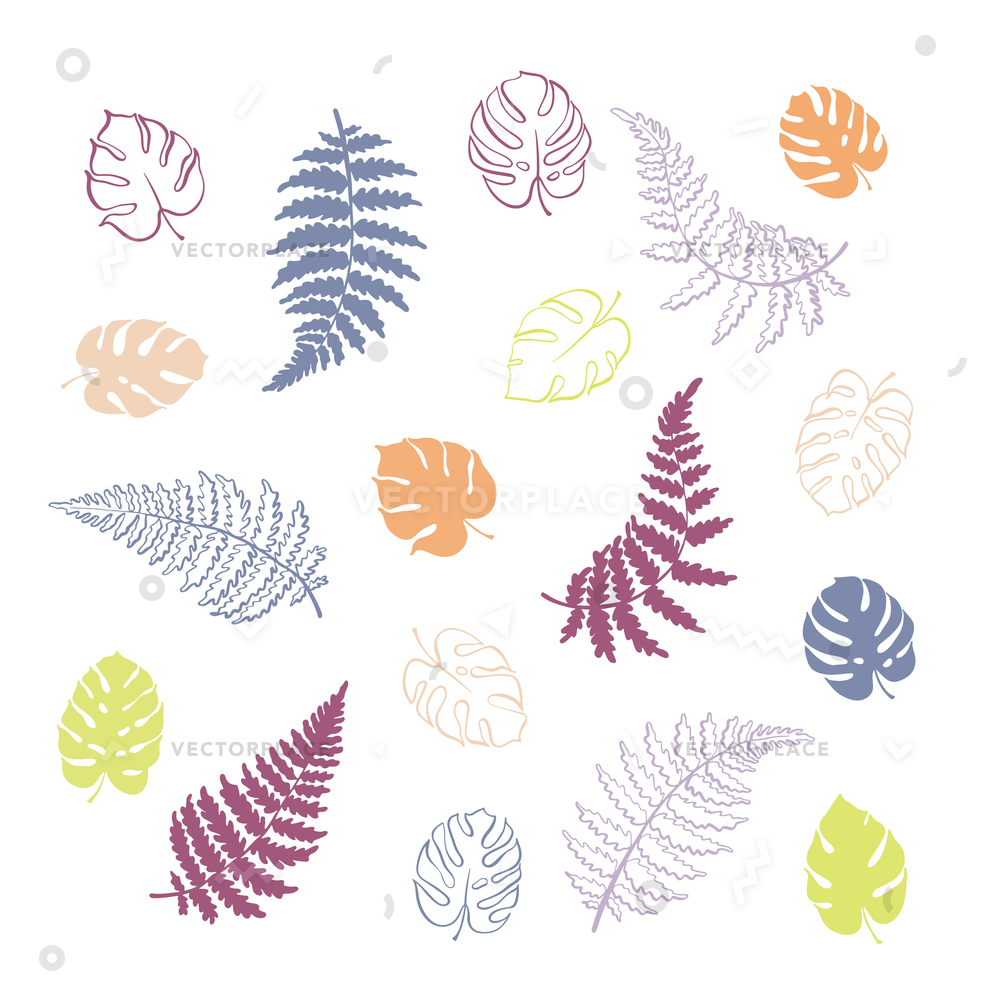 1000x1000 botanical fern monstera leaf isolated outline vector illustration - Fern Botanical Drawing