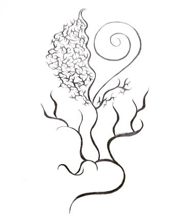 375x430 Fern Drawing - Fern Drawing
