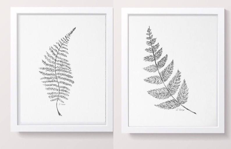 794x512 Fern Illustration Botanical Print Set Of Fern Drawing Etsy - Fern Drawing