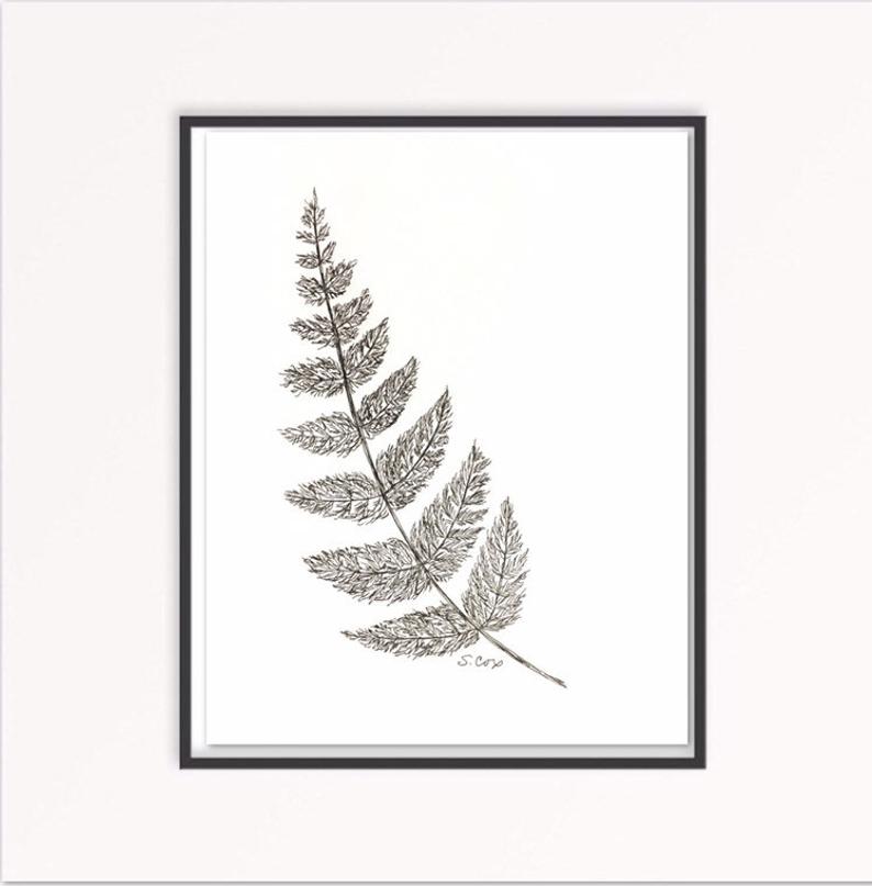 794x807 Fern Wall Art Botanical Print Ink Drawing Large Black And Etsy - Fern Drawing
