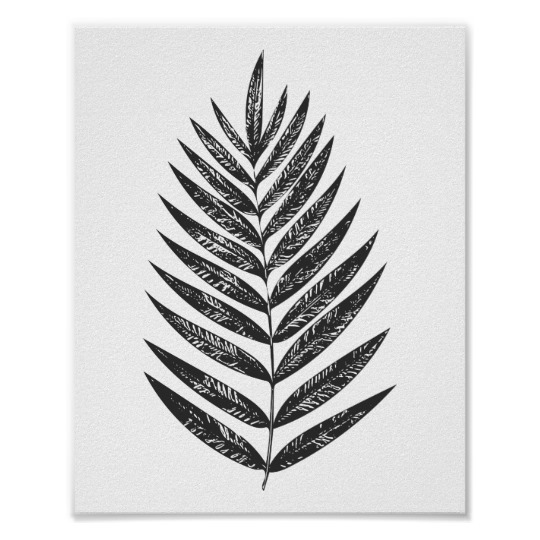 540x540 Minimalist Black And White Fern Drawing Poster - Fern Drawing