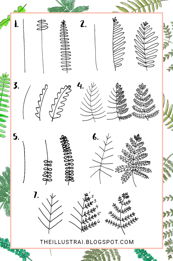 735x1103 Ways To Draw Fern Leaves - Fern Drawing