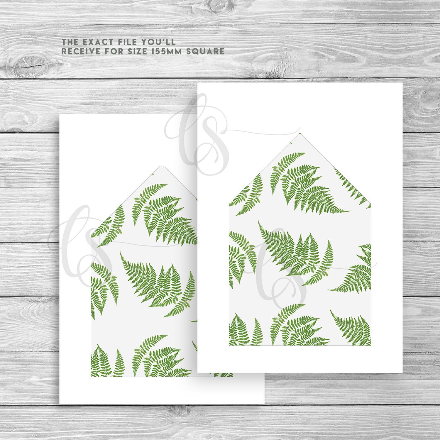 1500x1500 Fern Leaf Envelope Liner - Fern Leaf Drawing