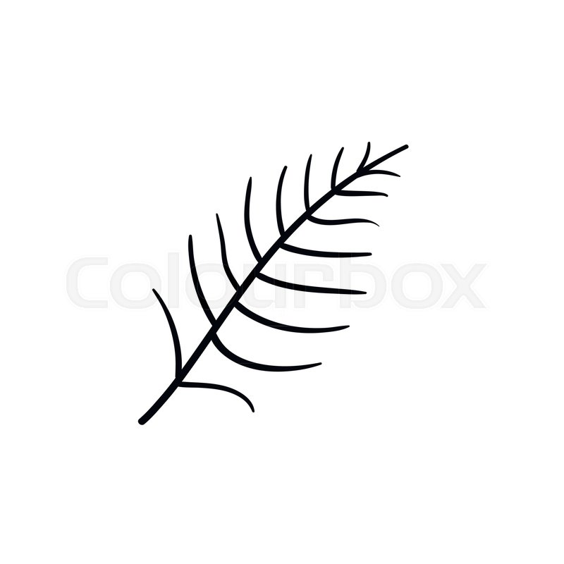 800x800 Fern Leaf Hand Drawn Sketch Icon - Fern Leaf Drawing