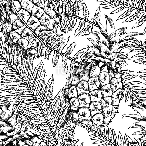 500x500 Seamless Pattern With The Image Of A Pineapple And Fern Leaves - Fern Leaf Drawing