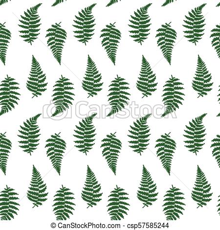450x470 Vector Pattern Illustration Of Fern Leaf Vector Botanical - Fern Leaf Drawing