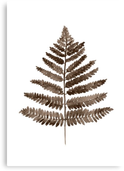 399x550 Brown Fern Floral Painting Illustration Drawing Watercolour Poster - Fern Leaf Drawing
