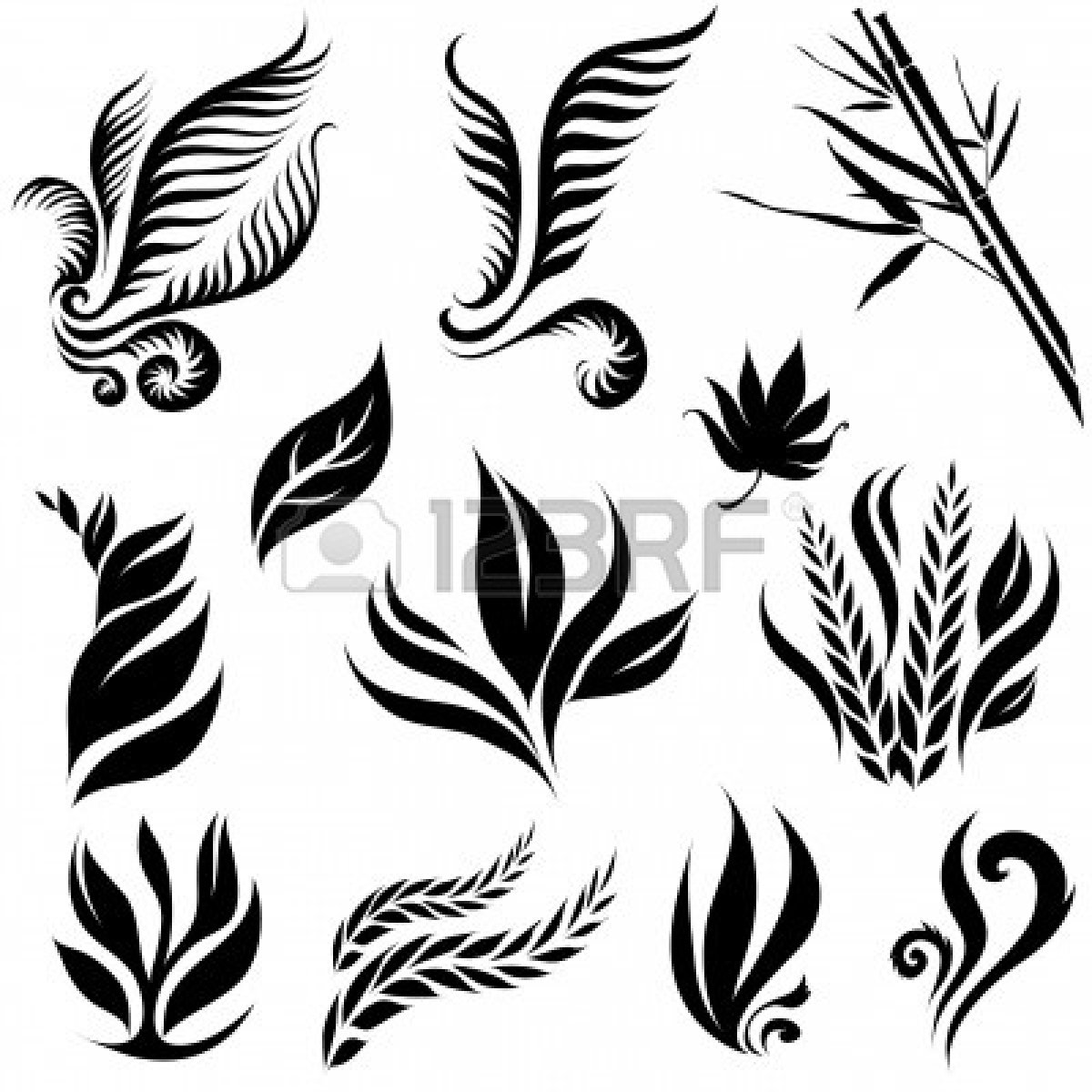 1200x1200 fern clipart fern leaf - Fern Leaf Drawing