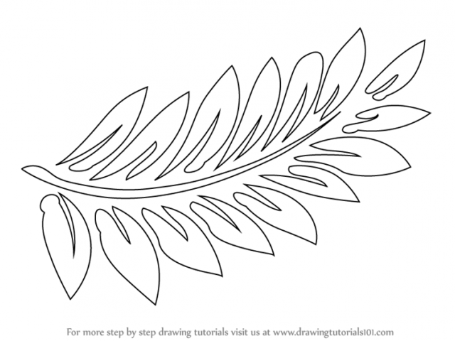640x480 Free Drawn Fern, Download Free Clip Art - Fern Line Drawing