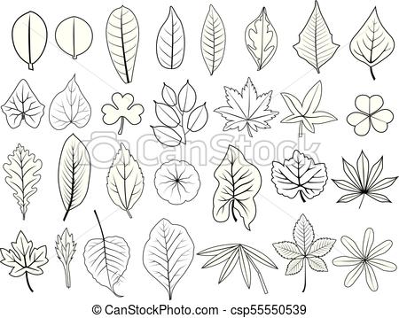 450x359 line leaves backdrop hand drawn line leaves vector set of grape - Fern Line Drawing