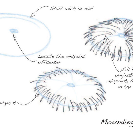 520x520 How To Draw Ferns Drawntogarden - Fern Line Drawing