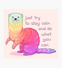 210x230 ferret drawing wall art redbubble - Ferret Drawing