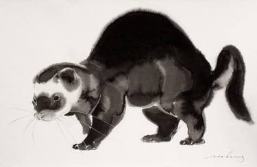 375x244 ferret drawing - Ferret Drawing