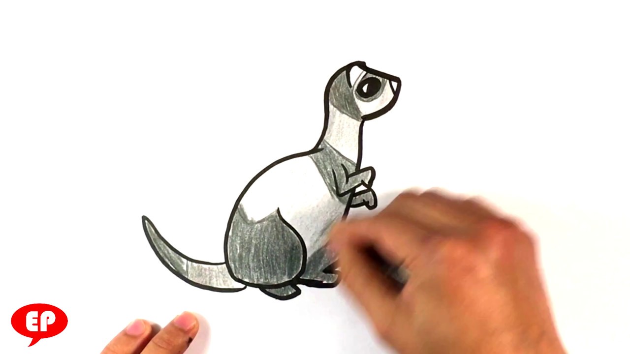 1280x720 how to draw a cute ferret - Ferret Drawing